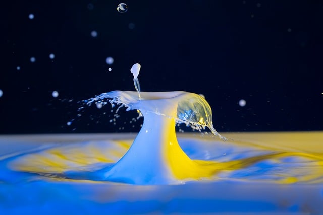 Free Drop Photography Drops photo and picture
