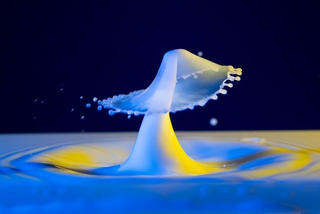 Free Drop Photography Drops photo and picture