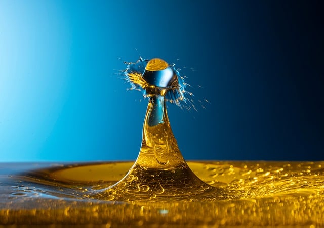 Free Drop Photography Drops photo and picture