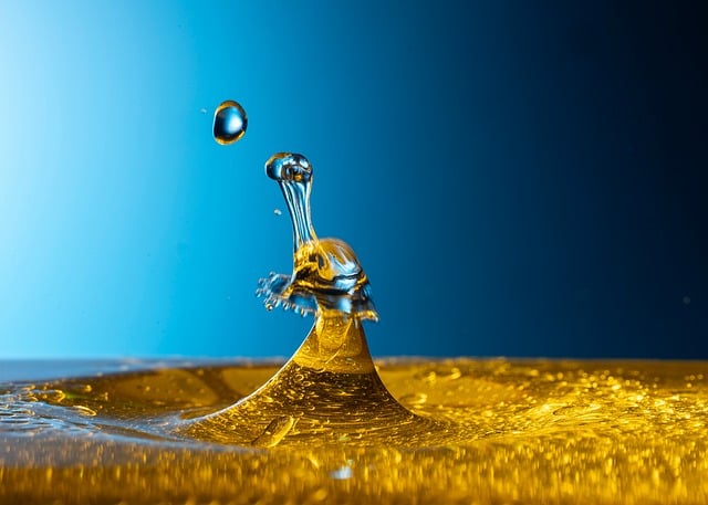 Free Drop Photography Drops photo and picture