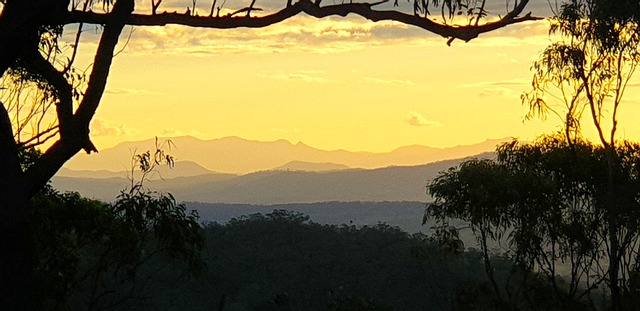 Australien, Kænguru, Natur, Solnedgang
