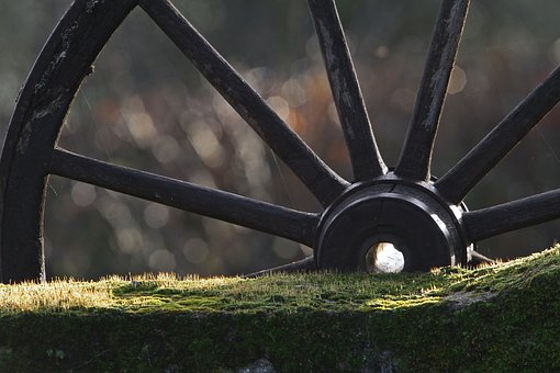 Free Wheel Mousse photo and picture