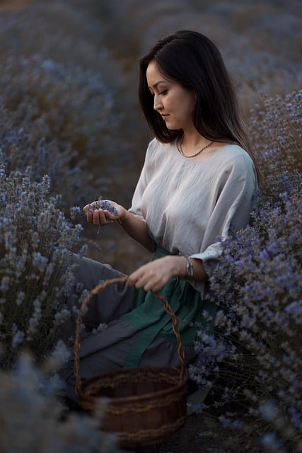 lavender, nature, provence, purple, field, bloom, flora, blossom, fragrance, summer, fragrant, landscape, like