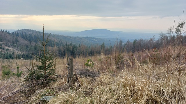 Hory, Polsko, Podzim, Příroda, Krajina