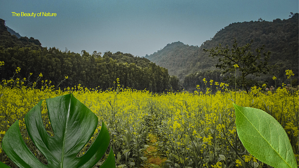 Natureza, Panorama, Natural, Valdo
