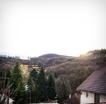 Casa, Techo, Pueblo, Naturaleza, Bosque