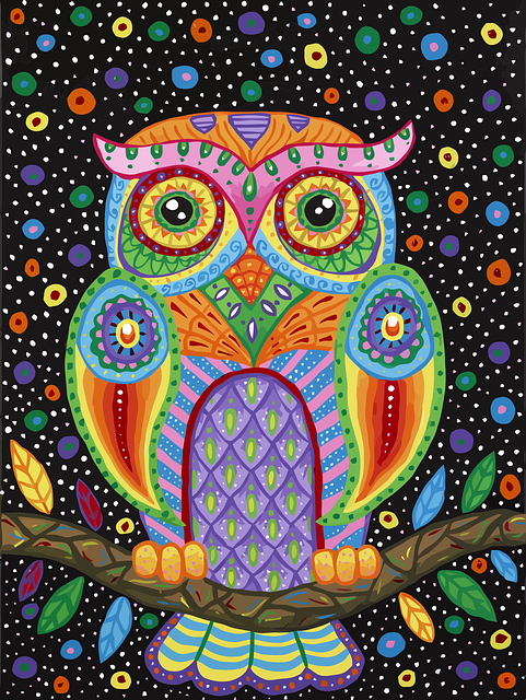 Free owl colorful art animal illustration