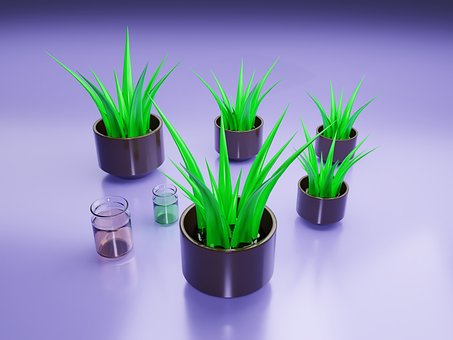 Vasos De Plantas, Design De Interiores