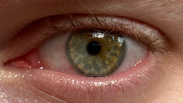 Olho, Olhos, Mulher, Garota, Consulte