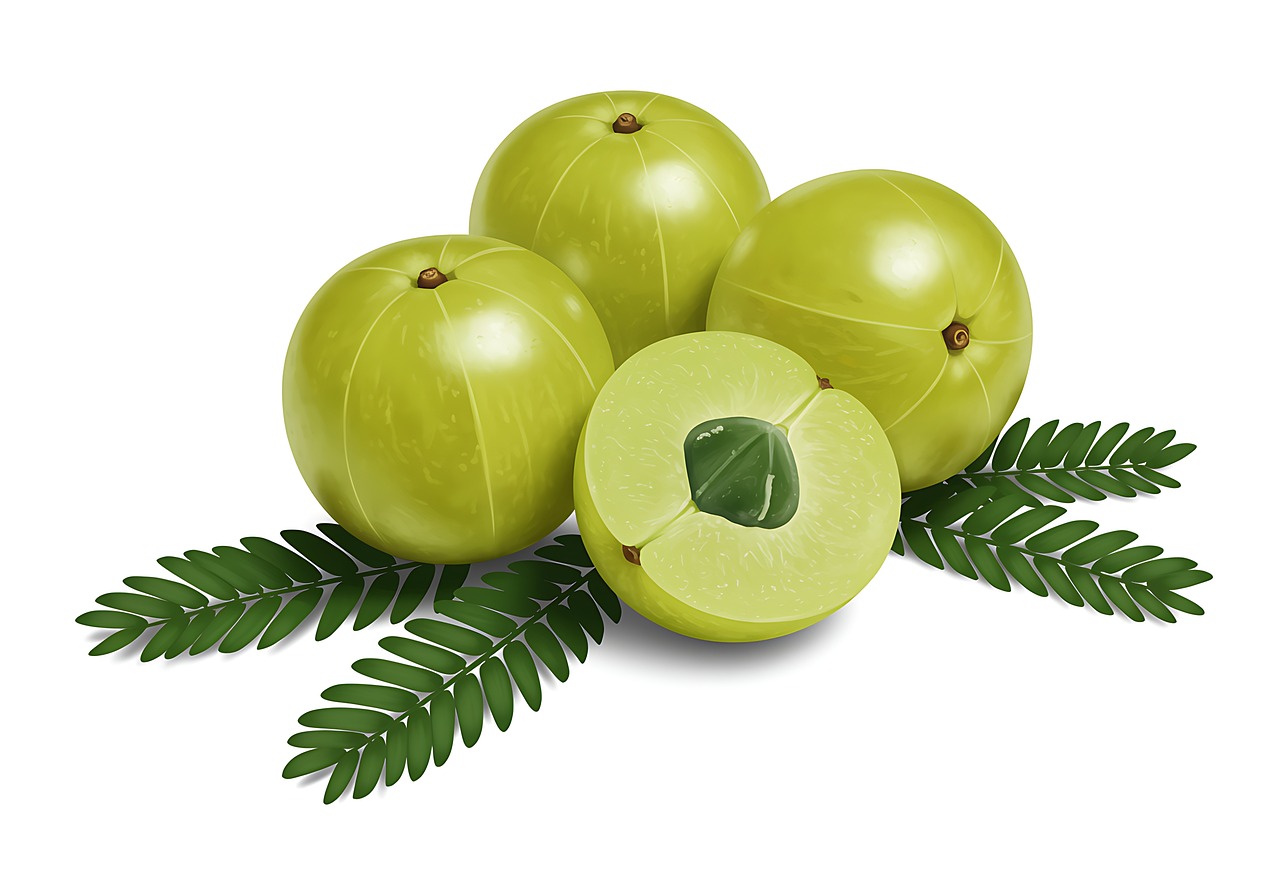 20+ Free Amla & Indian Gooseberry Images - Pixabay