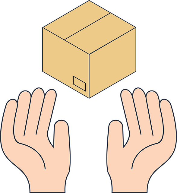Free hands box delivery vector