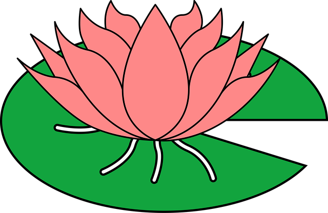 Free lotus water lily flower illustration