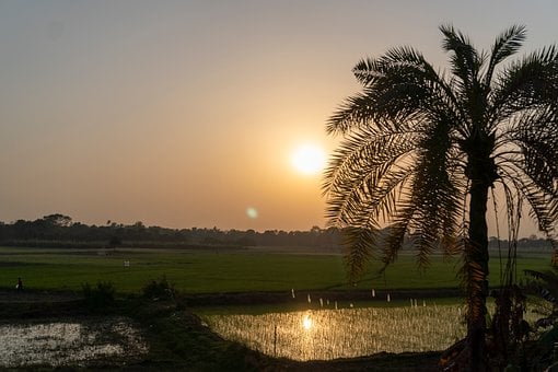 Zonsopkomst, Ochtend, Zon, Lucht