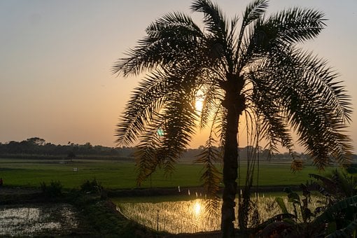 Zonsopkomst, Ochtend, Zon, Lucht