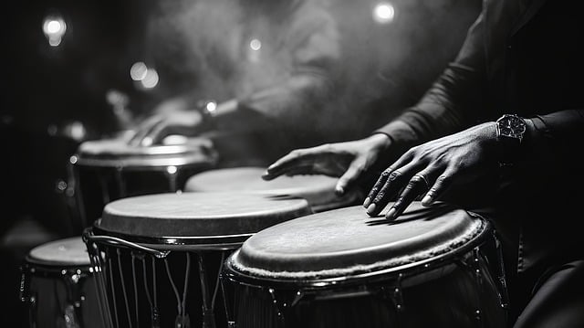 Free drum music musician illustration