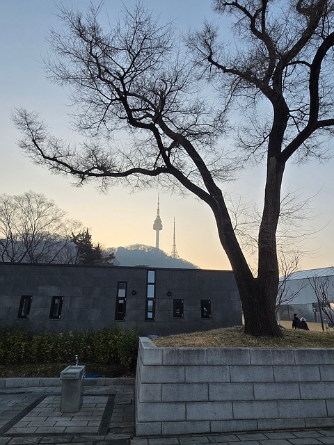 Free Seoul Korea photo and picture