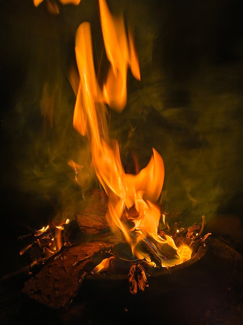 Free Fire Hot photo and picture