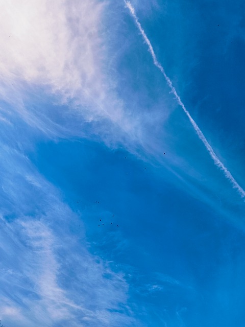 Free Sky Landscape photo and picture