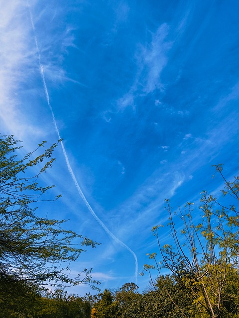 Free Airplane Aircraft photo and picture