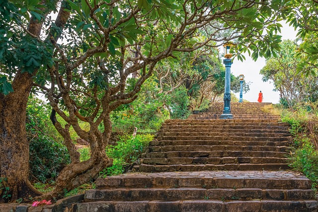 Free Buddhist Buddhism photo and picture