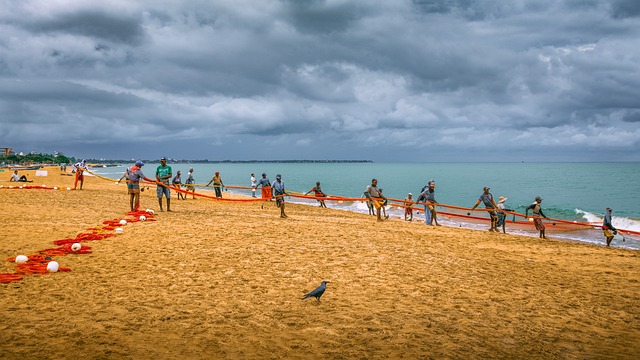 Free Fishermen Fishing photo and picture