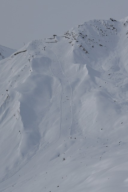 Sne, Ski, Stå På Ski, Vinter, Snowboard