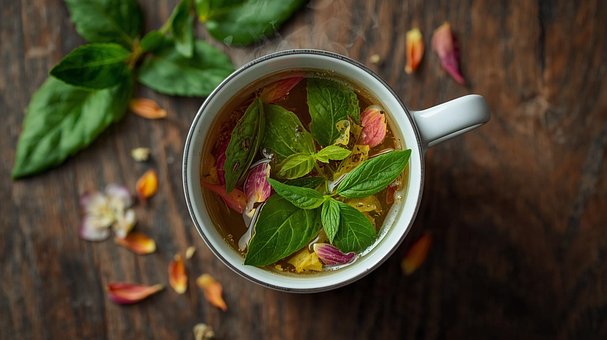 Free Tea Cup Of Tea photo and picture