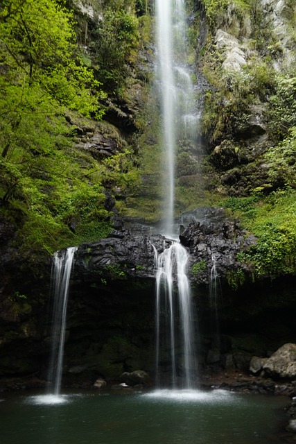 Wasserfall, Wald, Natur, Rucksack