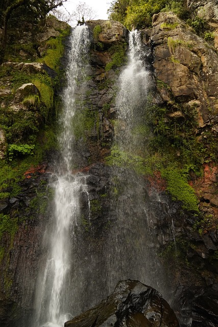 Wasserfall, Wasser, Wald, Park, Natur