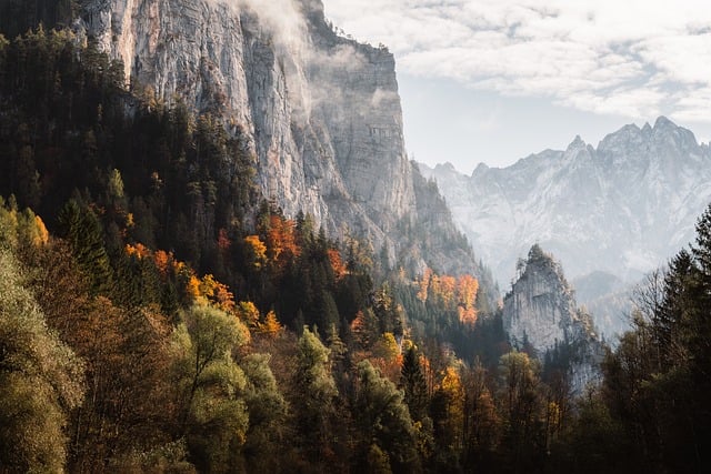 Bosque De Otoño, Acantilados, Montañas