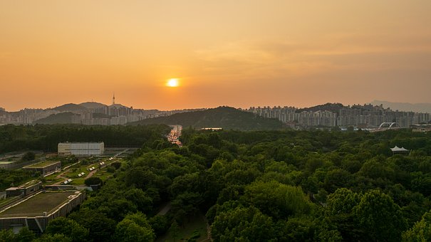 Free Seoul Forest Sunset photo and picture