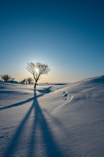 Snow, winter, nature and landscape — photo by pen_ash
