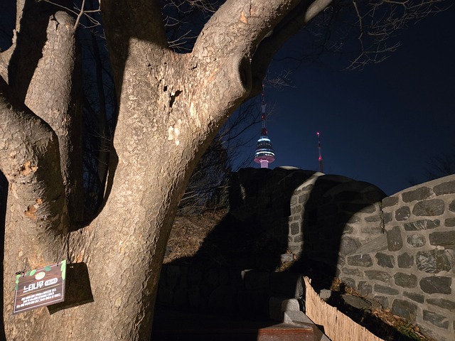 Free Night Nature photo and picture