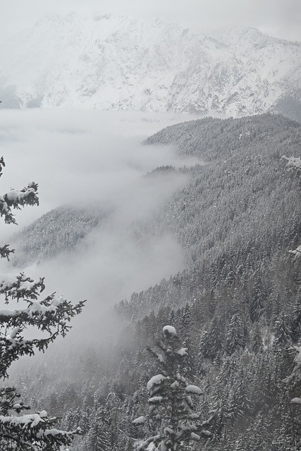 Vinter, Sne, Natur, Alperne, Overskyet