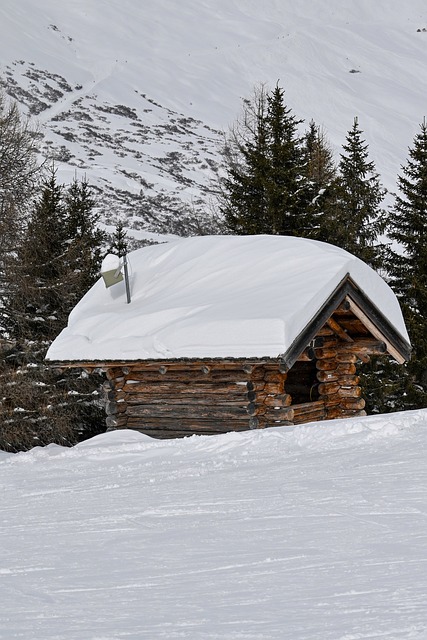Træ, Hus, Natur, Landskab, Bygning
