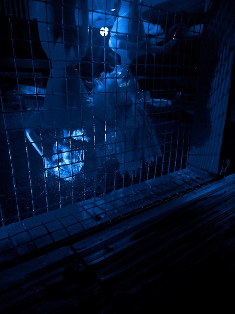 Luz Azul, Jaula, Sombras