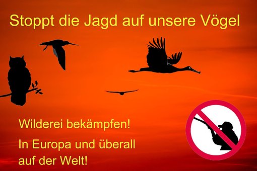 Het Welzijn Van Dieren, Vogels