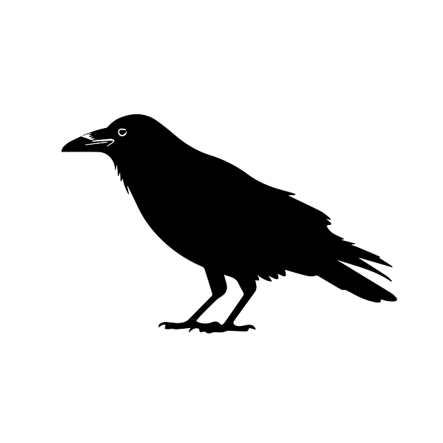 Download free HD stock image of Crow Silhouette Vector Free crow silhouette vector raven bird design wildlife bird artwork vector
