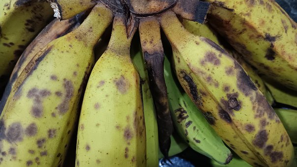 Free Overripe Banana Ripe Banana photo and picture