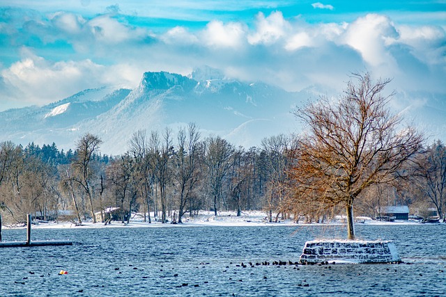 Árvore, Natureza, Panorama, Inverno