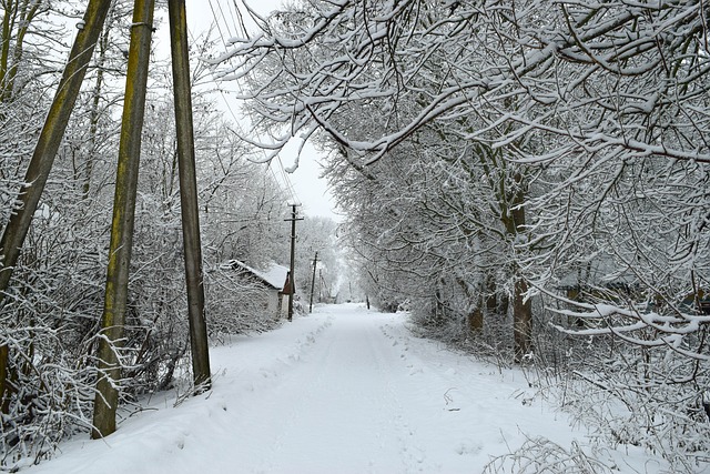 Zimní, Vesnice, Příroda, Krajina, Strom
