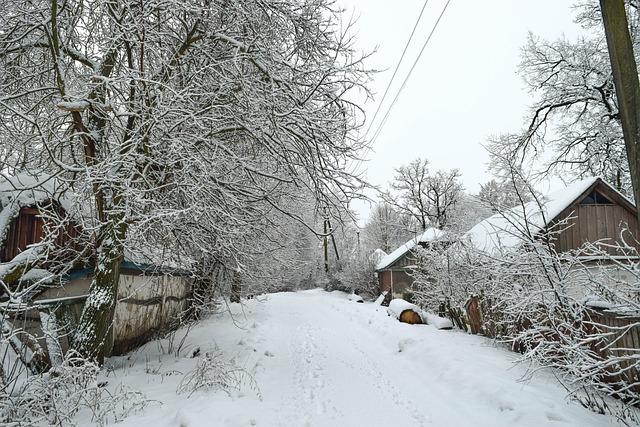 Zimní, Vesnice, Příroda, Krajina, Strom