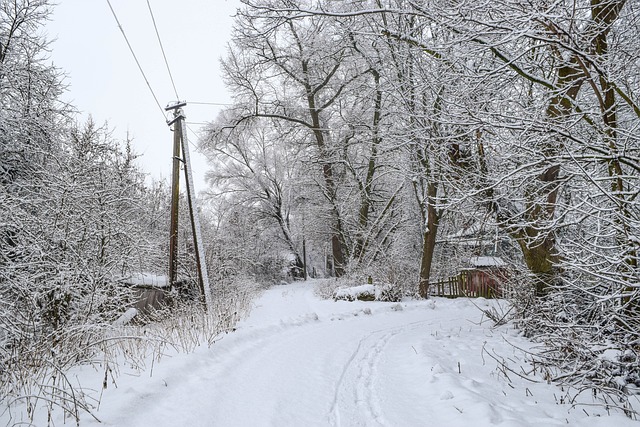 Zimní, Vesnice, Příroda, Krajina, Strom
