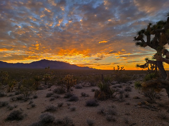 Sonnenuntergang, Arizona, Landschaft
