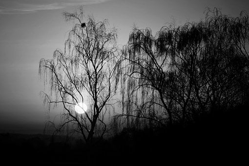 Free Sunrise Nature photo and picture