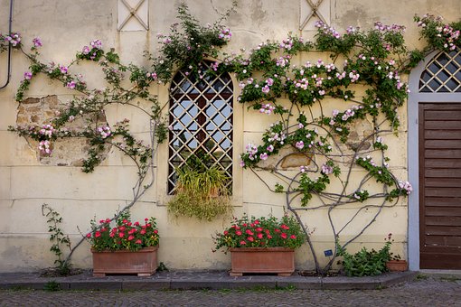 Jardín, Rosas, Casa, Pared, Enrejado