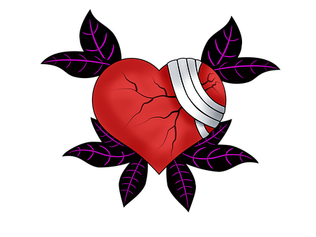 Corazón, Cicatrización, Vendaje