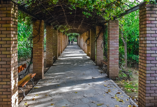 Free Pathway Garden photo and picture