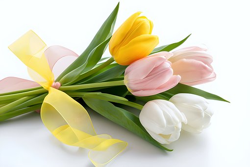 Tulipány, Kvety, Kytica, Žltá, Ružová