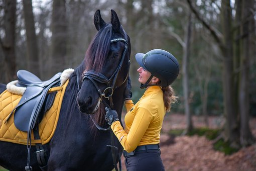 Free Horse Riding Horse photo and picture